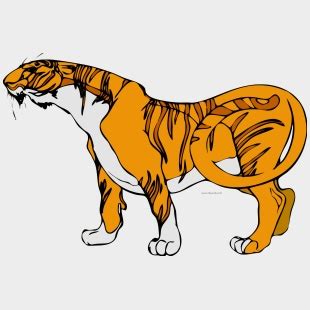 indochinese tiger cartoon